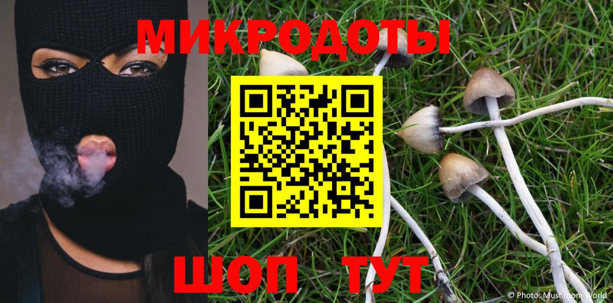 Псилоцибиновые грибы GOLDEN TEACHER Волоколамск