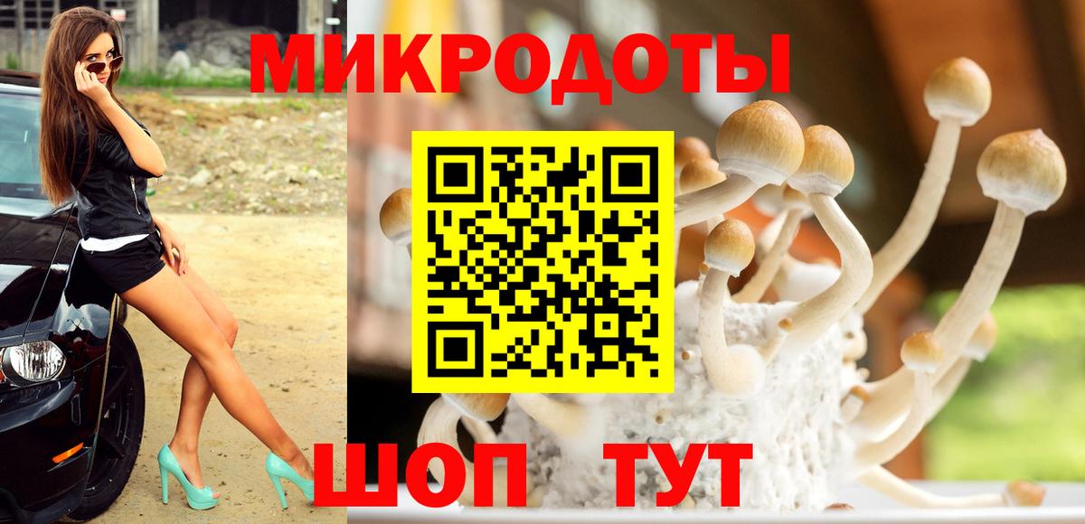 Волоколамск  Галлюциногенные грибы MAGIC MUSHROOMS  Псилоцибиновые грибы GOLDEN TEACHER  Вход с VPN 